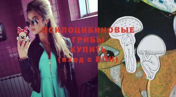 дурь Алексин