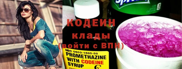 дурь Алексин