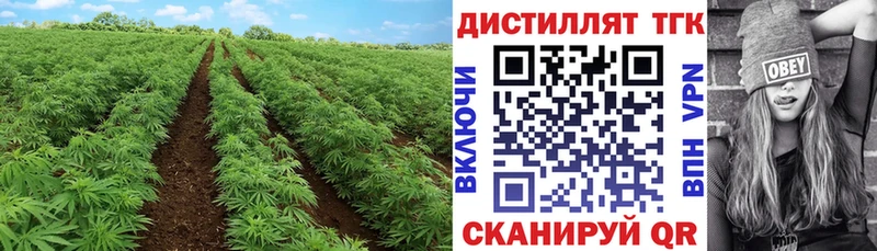 ТГК гашишное масло  Топки 