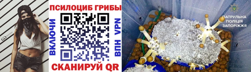 mega ONION  Топки  Псилоцибиновые грибы мухоморы 